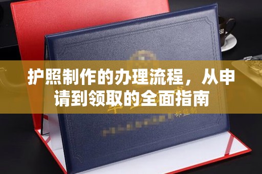 海曙护照制作的办理流程，从申请到领取的全面指南