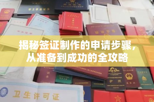 海曙揭秘签证制作的申请步骤，从准备到成功的全攻略